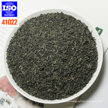 Super China twisted Green tea low price with good quality